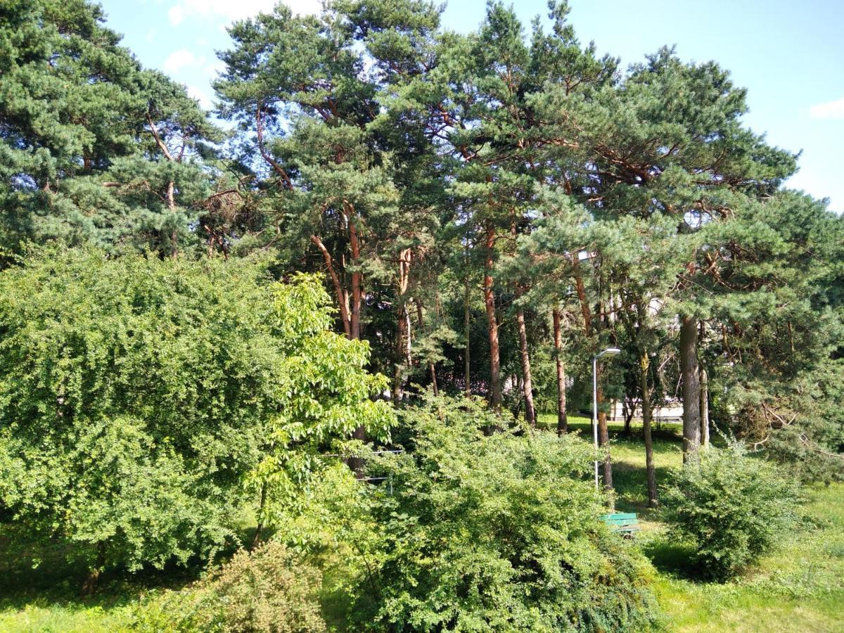 Apartament Gorka Zdroj Busko Zdroj Exterior photo